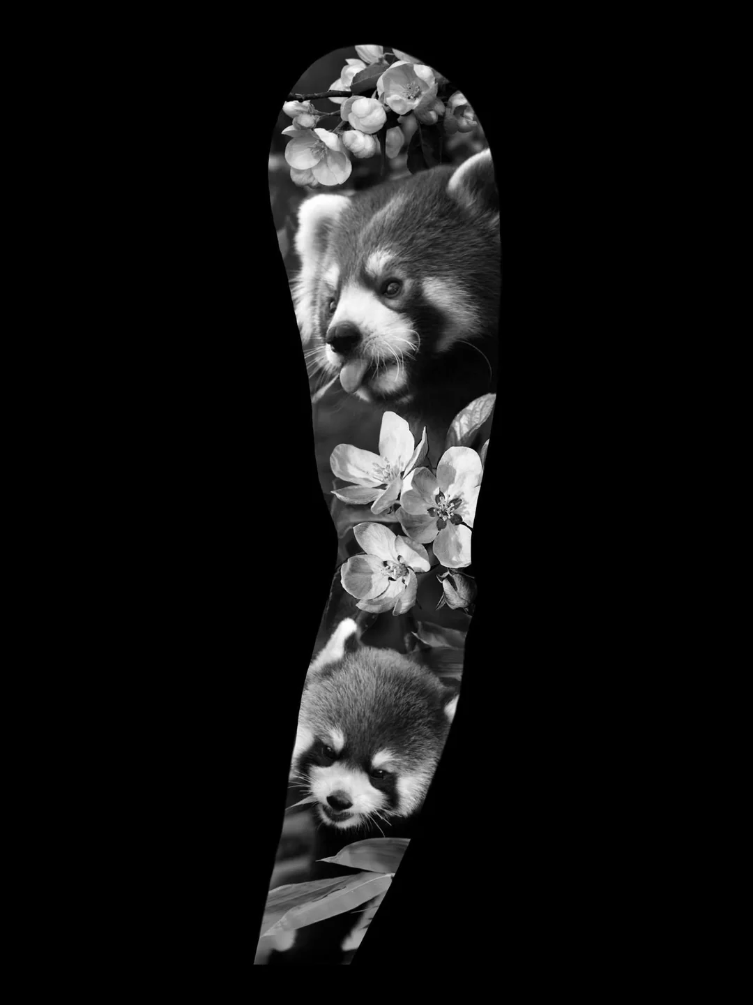 A red panda among apple blossom, an original design by Victor Armero